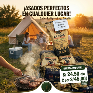 BROQUETAS DE CARBON